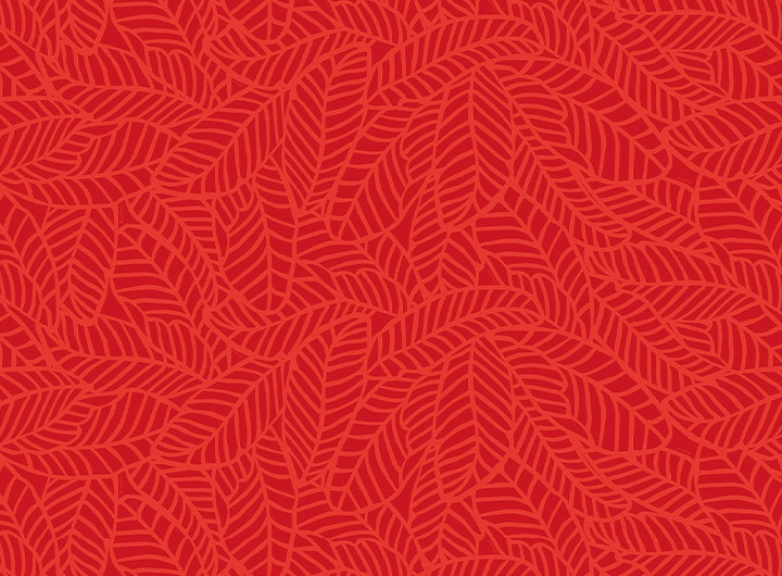 ZK000655