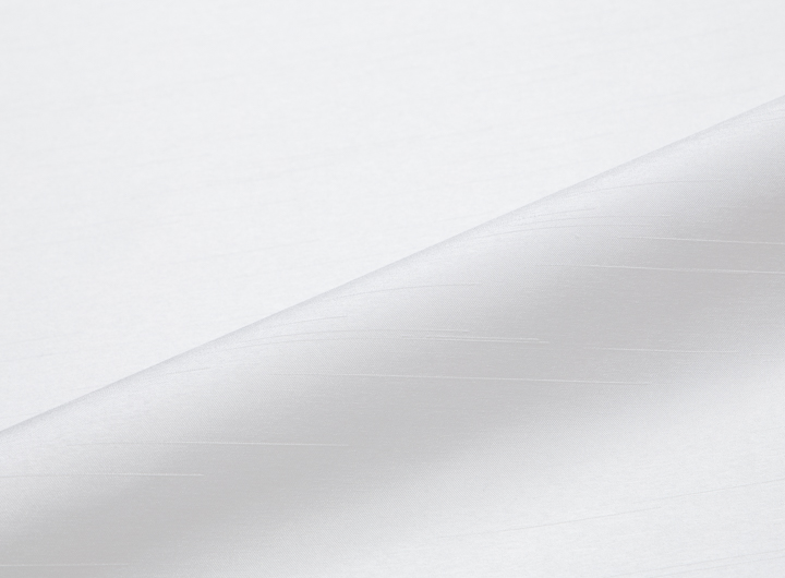 ホワイト・アイボリー系 / 無地 ノーブルシャンタン