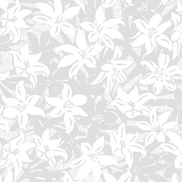 ホワイト・アイボリー系