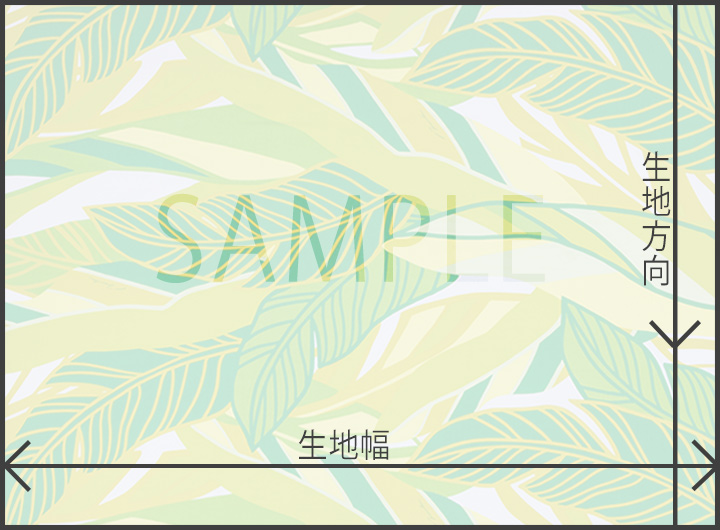 ☆ケニケニ/イエロー系 イエロー系