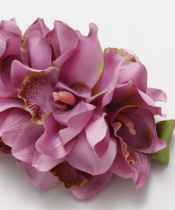 ノーブルシンビジウムクリップ GREEN -