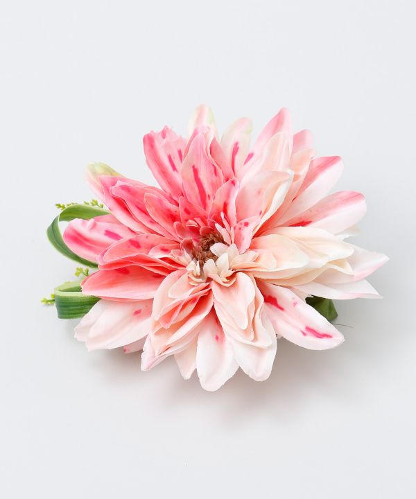 ダリアビューティークリップ PEACH -