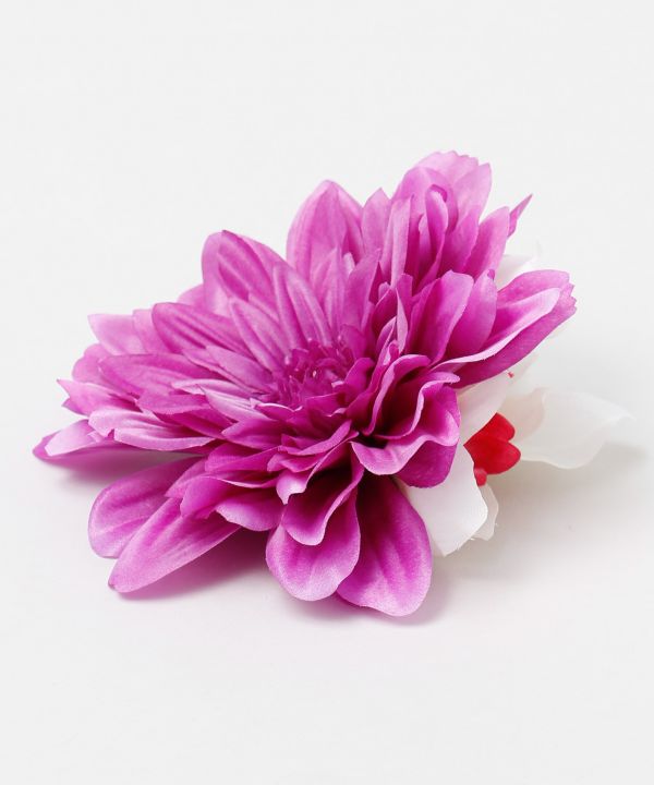 ダリア＆シンビクリップ