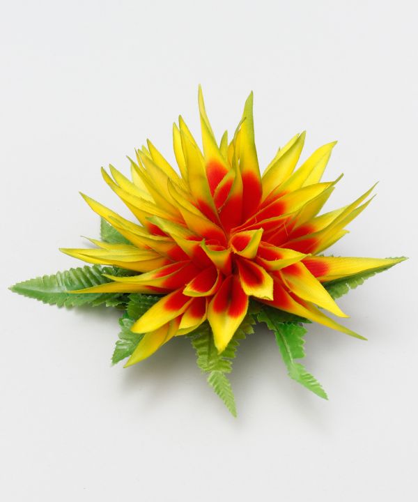 ヘリコニアヌイクリップ