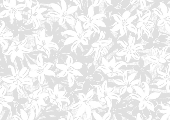 リリー／ホワイト・アイボリー系