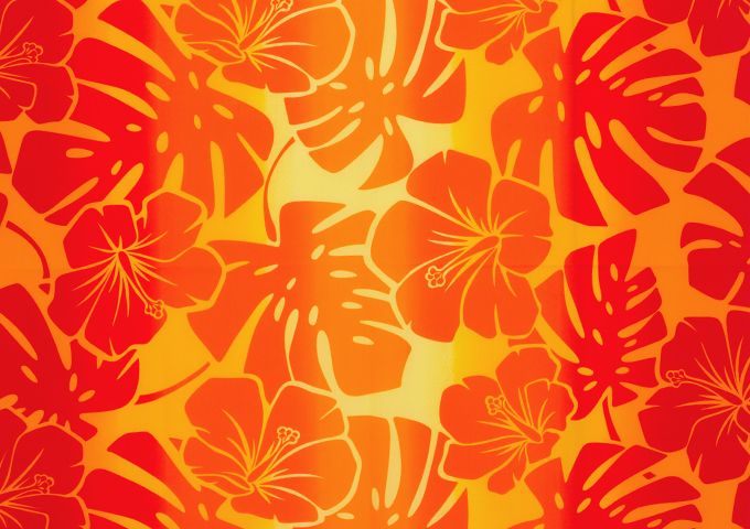 モンステラ/レッド系