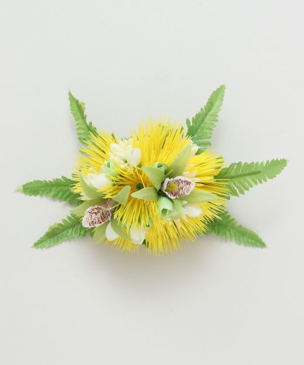 レフアシンビジウムクリップ