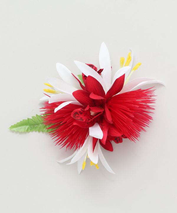 ミニレフアシンビジウムクリップ