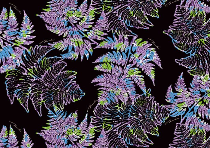 パラパライ／ブラック系