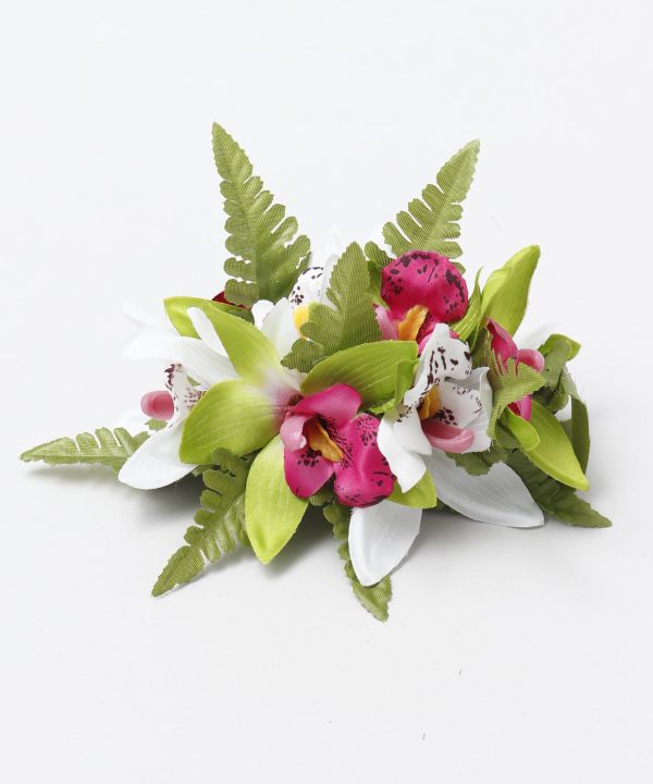 ミニシンビファーンクリップ