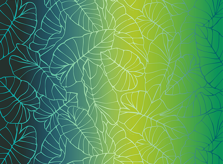 タロ/グリーン系