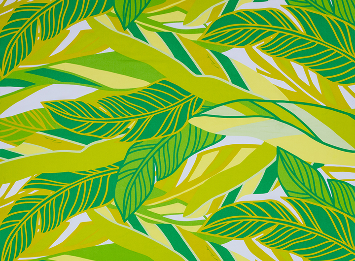 バナナリーフ/グリーン系