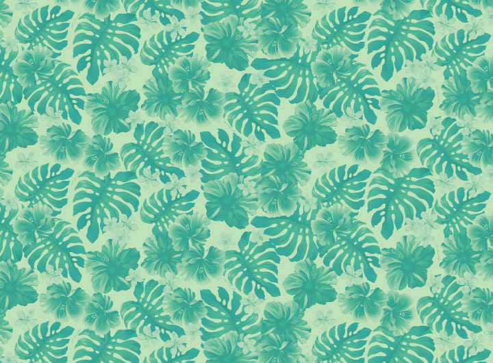 Amazon.co.jp: [Hula & Hawaiian shop KuKui] ニットフリル