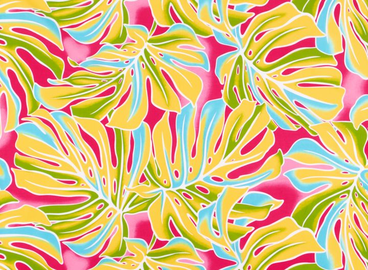 ◇モンステラ／ピンク系