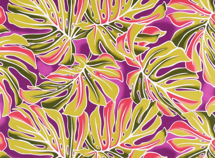 ◇モンステラ／ピンク系