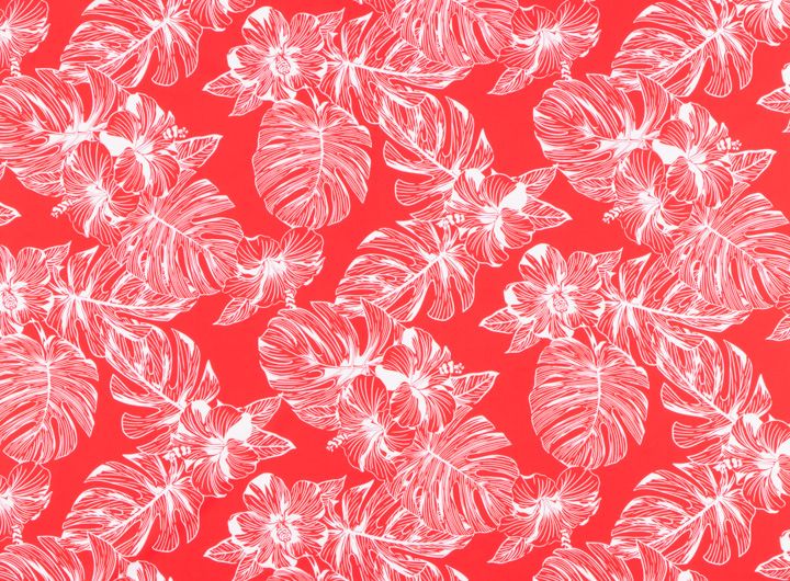 ◇ハイビスカス／レッド系