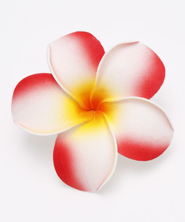 プルメリアクリップ