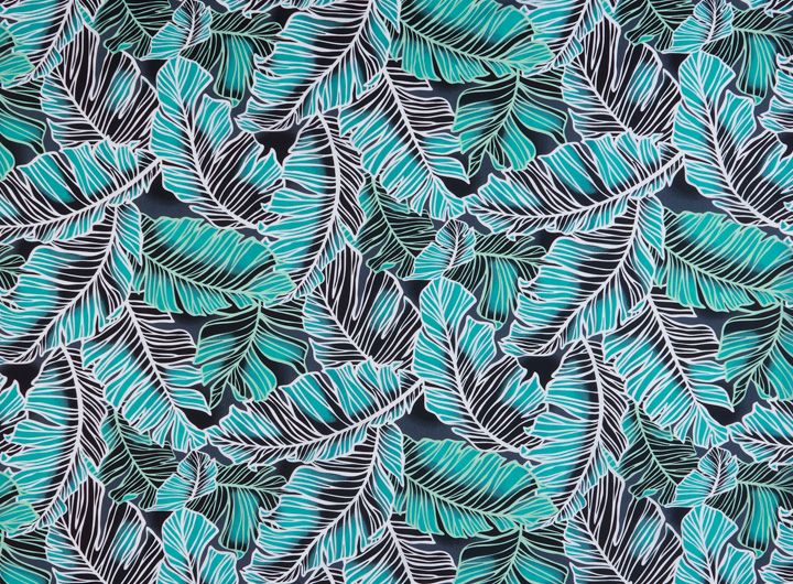 リーフ／ブラック系