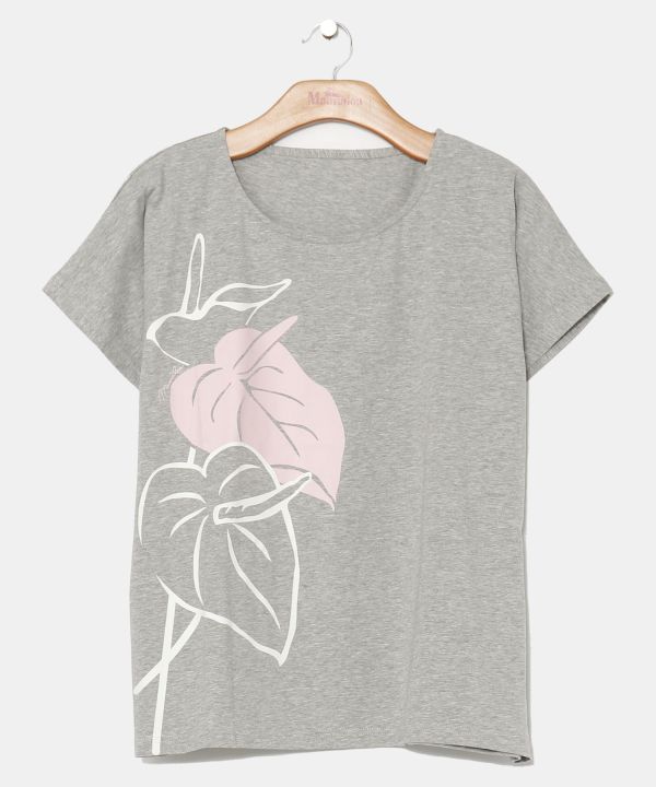 クールタッチアンスリウムＴＯＰ