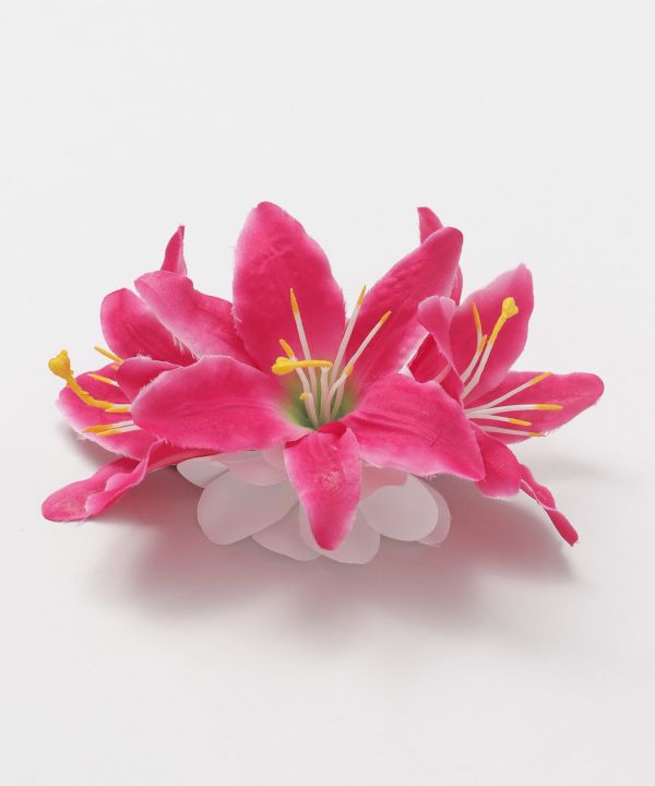 リリークリップ