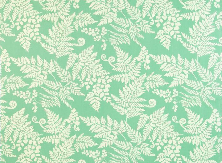 ★ファーン／グリーン系