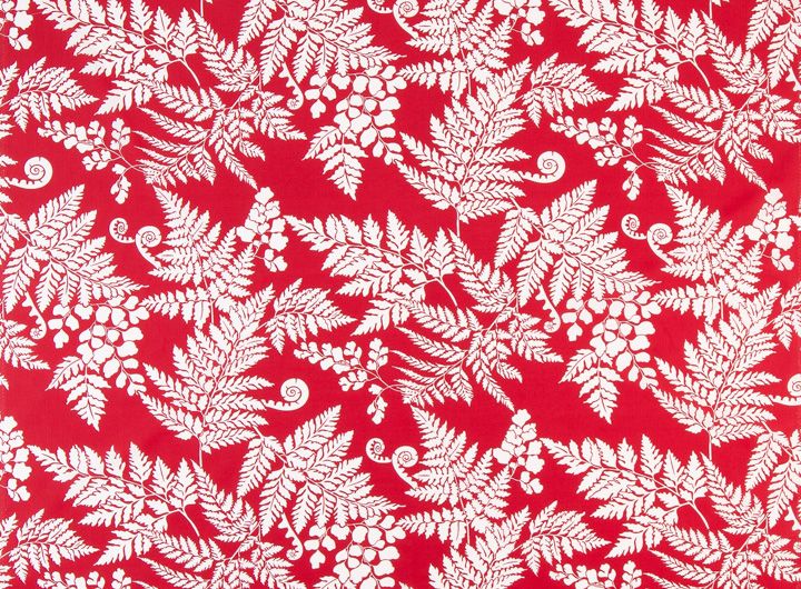 ★ファーン／レッド系