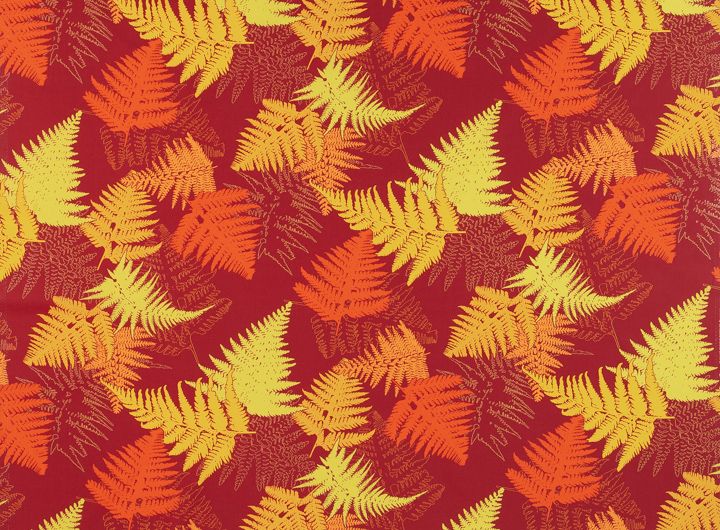 ★ファーン／レッド系