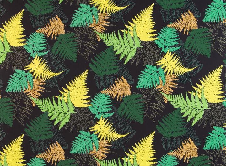 ★ファーン／ブラック系