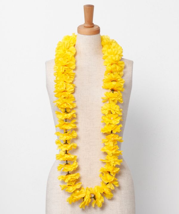 プアカーネーションレイ