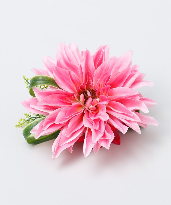 ダリアビューティークリップ