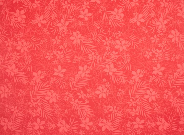 ☆プルメリアリーフ／レッド系