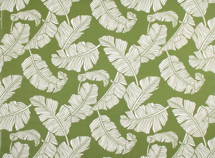 ☆リーフ／グリーン系