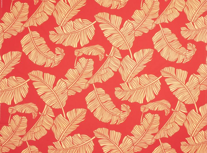 ☆リーフ／レッド系