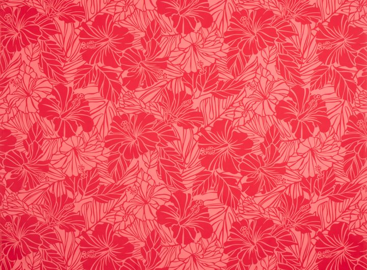 ☆ハイビスカス／レッド系