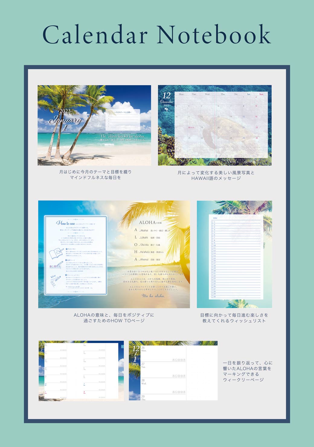 ダイアリー内容