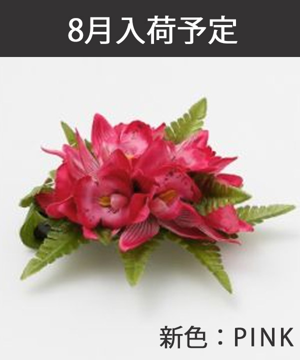 ミニシンビファーンクリップ